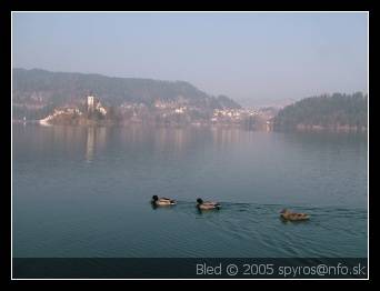 Bled (Slovenia, Slovenija)