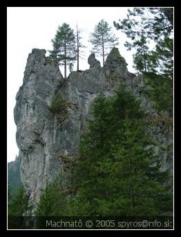 Machnatô (Nízke Tatry, Demänovská dolina)