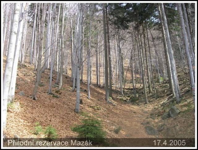 Mazák (přírodní rezervace pod Lysou Horou) 