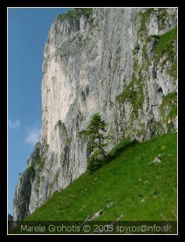 Romania (Rumunsko) | Piatra Craiului (Kráľovský kameň) | Marele Grohotis