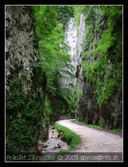 Romania (Rumunsko) | Piatra Craiului (Kráľovský kameň) | Prăpăstile Zărnestilor (Zarnešťská tiesňava)