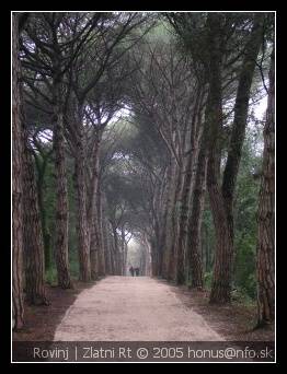 Rovinj - Zlatni Rt (Rovigno, Chorvátsko, Croatia, Hrvatska)