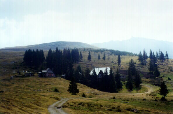 Rumunské Karpaty | Pohorie Tarcu (Carku) | Cuntu