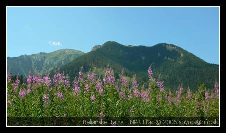 Belianske Tatry | Belianske Tatry | NPR Fľak