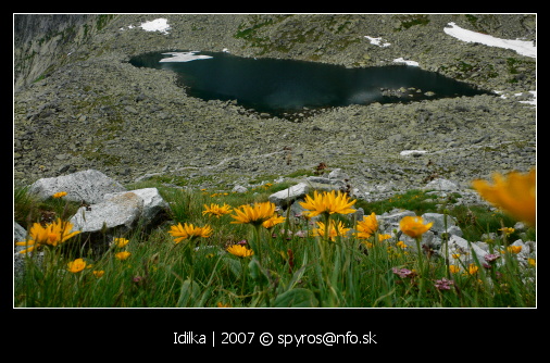 Nižné Wahlenbergovo pleso